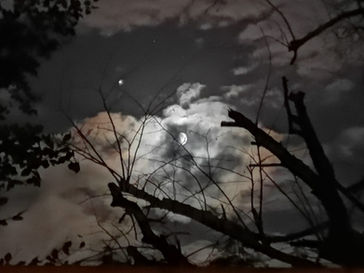 Moonlight Seranade - Karen.jpg