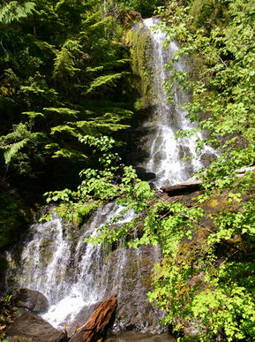 Waterfall in Yakima - Jan.jpeg