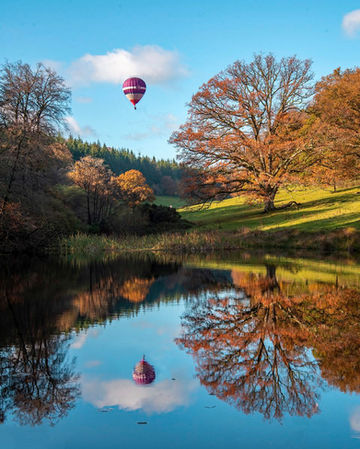  Winner - Stourhead Autumn - Derek.jpg