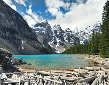  3rd KF2 Print - Log jam at Morraine lake - Derek.jpg