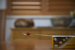 Tomato Background