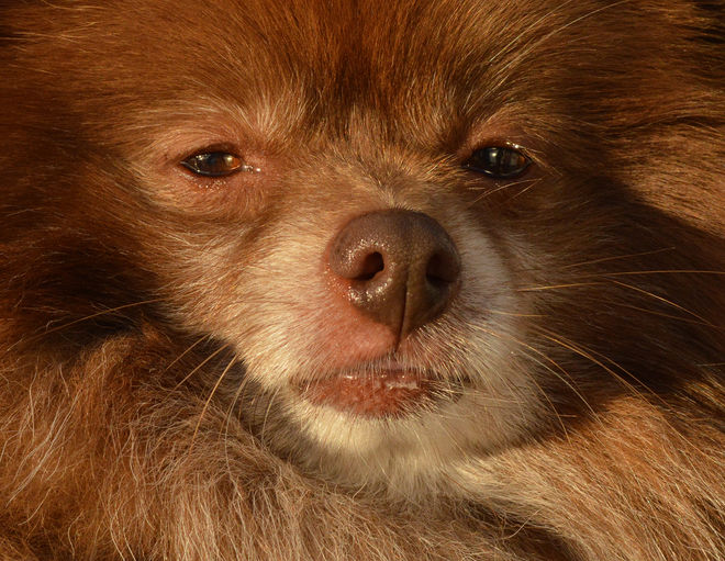  1st KM OffCam - Watching You, Watching Me - Mandy.jpg