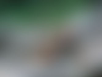 "The Power of Values: How They Shape and Drive Behavior"