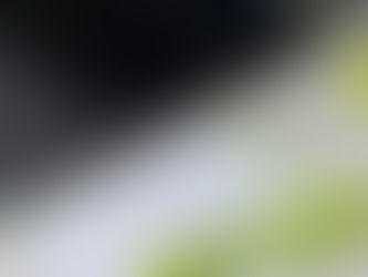 Porque Fazer a Busca no INPI Antes de Criar sua Marca é Essencial?