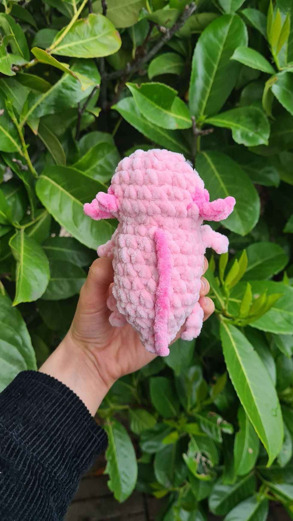 Miniature : Petite peluche axolot