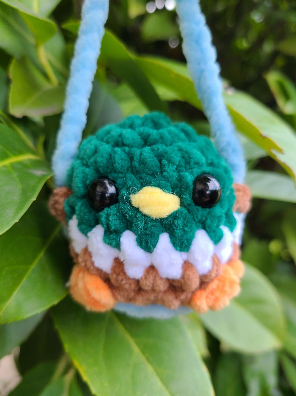 Décoration de rétroviseur canard