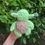 Miniature : Petite peluche tortue de mer Yoda