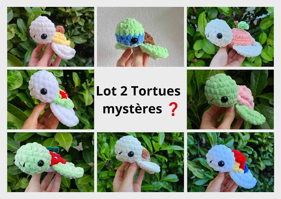 Lot de 2 tortues mystères