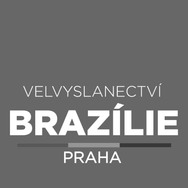 tche_branco.png