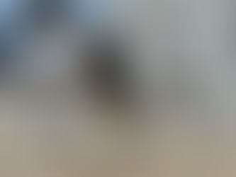 Bli med på gratis pute/pads-trening med Alta Karateklubb!