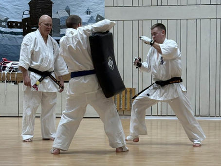 Bli med på gratis pute/pads-trening med Alta Karateklubb!