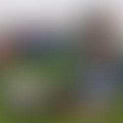 Samichlaus 🎅 war da