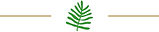 Siss-Fern-Divider.png