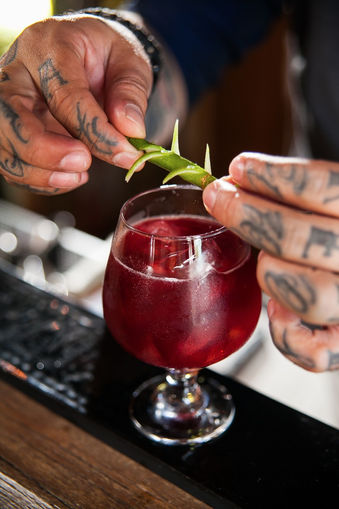 Começa hoje o 1º Festival de Gin, em Curitiba