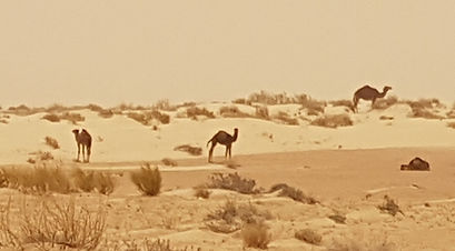 20180501_124050.jpg