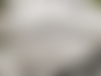 Developing a Realistic Landscape Scope & Budget