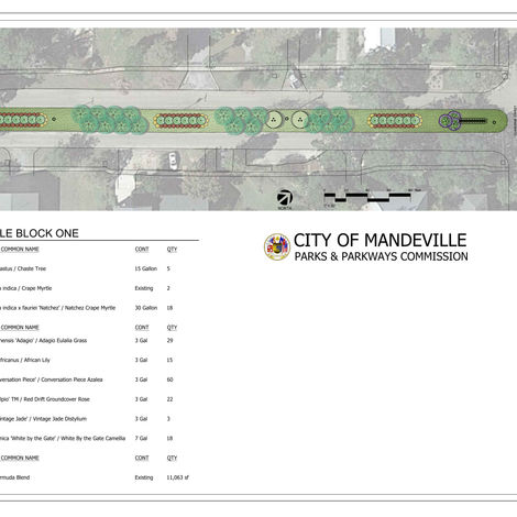Edible suburban forest in a primary roadway