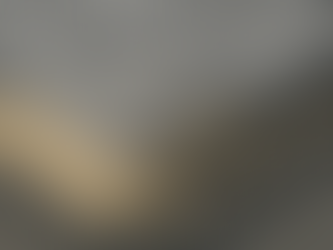 Holding the Line: Edge Restraints and the Art of Durable Paver Design