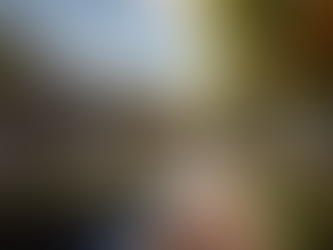 An Introduction to Sustainable Stormwater Management for Residential Landscape: