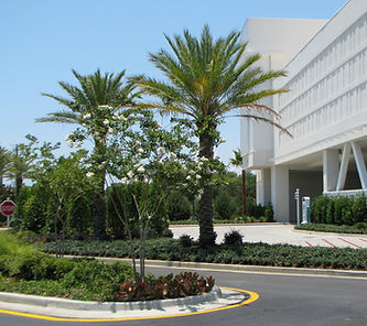 Palace Planting (2).jpg
