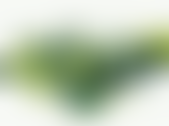 Building Your Brand: