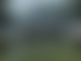 Designing Residential Drainage Without Guesswork. Practical Math, Hard Truths, and Turning Water Problems Into Landscape Assets