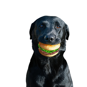 burgerdognaked.png