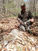 The Eastern Coy Wolf