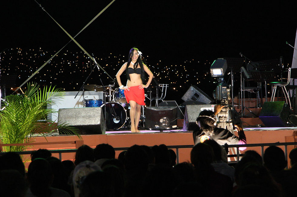 7nov parque bicentenario 2010 015.jpg