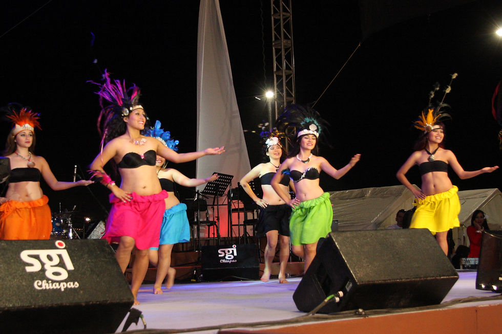 7nov parque bicentenario 2010 004.jpg