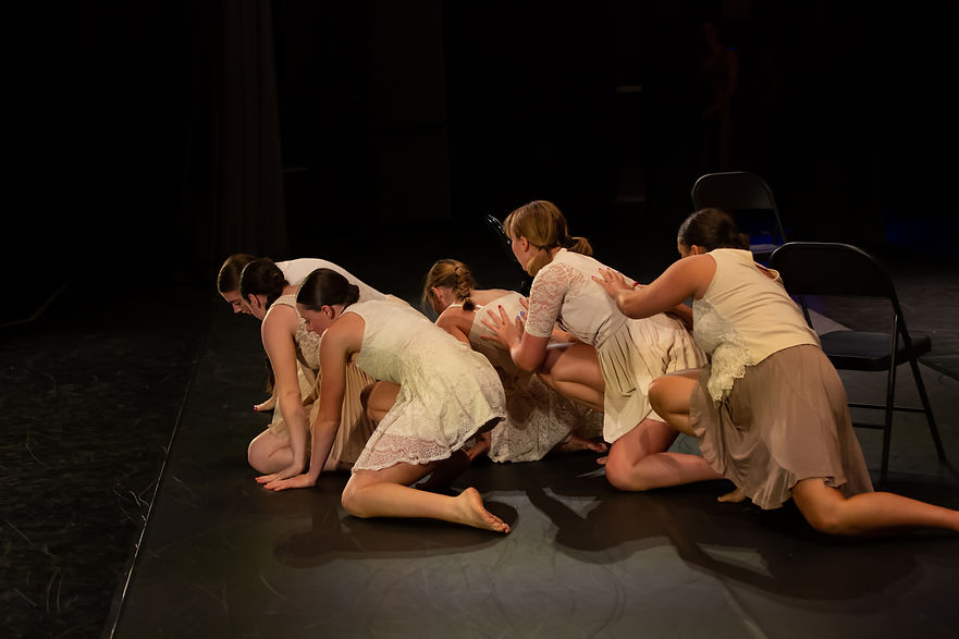 Magnolia in the Mud 5.JPG