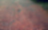 red_edited.jpg