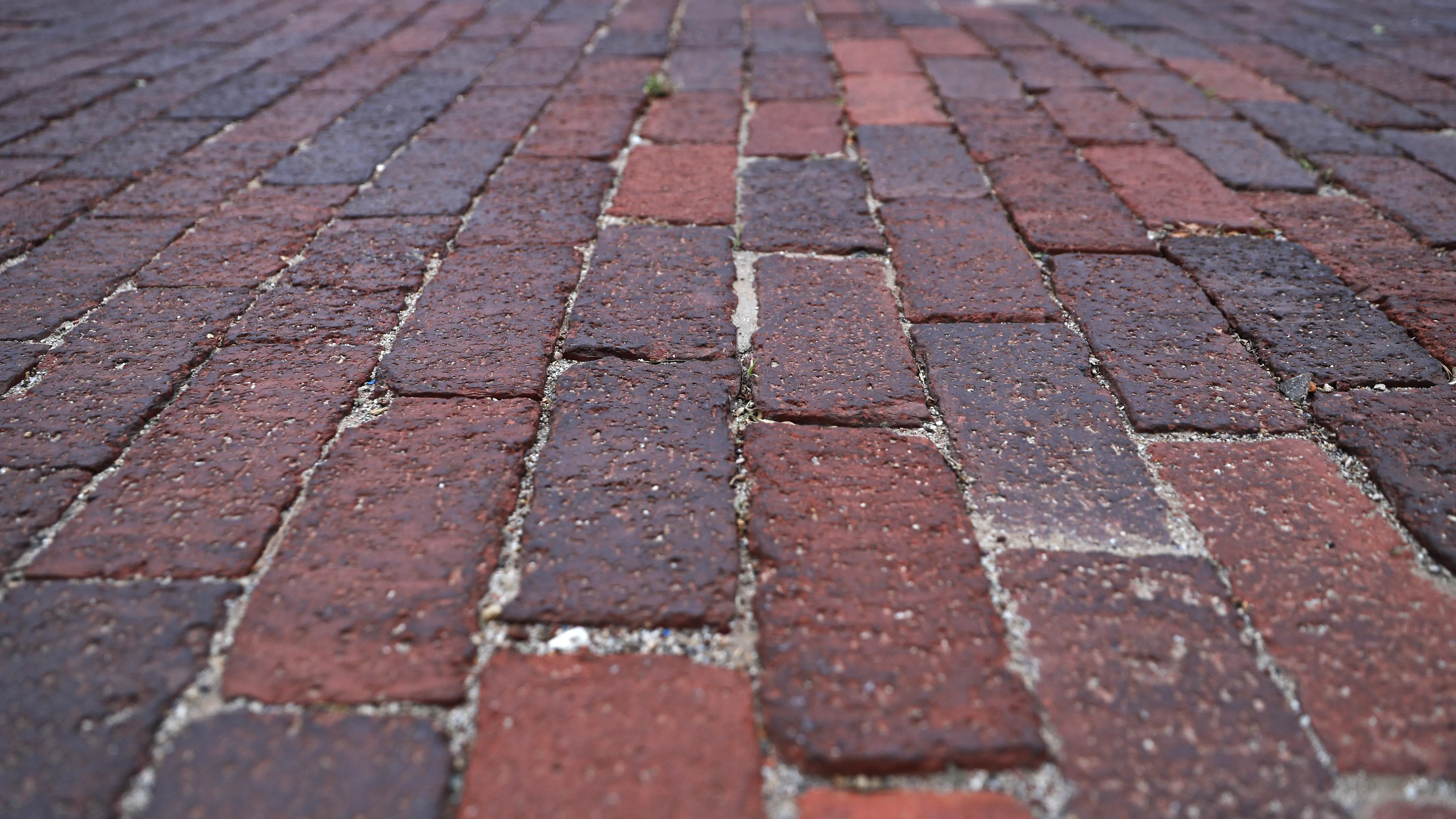 ghows_gallery_ei-TX-200728959-8238880b-1.jpg.webp