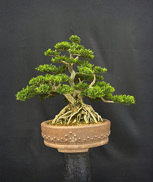 WhatsApp Image 2025-09-14 at 21.49_edite