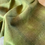 Thumbnail: green plaid wool fabric draped on a table
