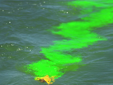 Discover the Power of Fluorescence Spectroscopy in Modern Science