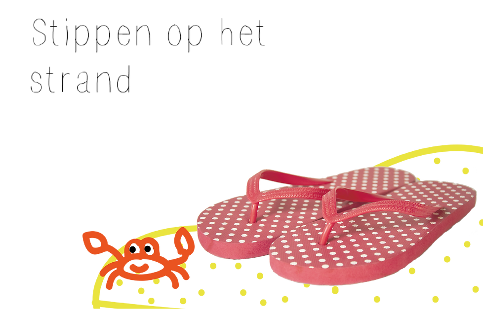 Hema slippers