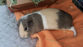 When you have completed all your work and you settle in for the well deserved rest.