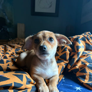 Millie