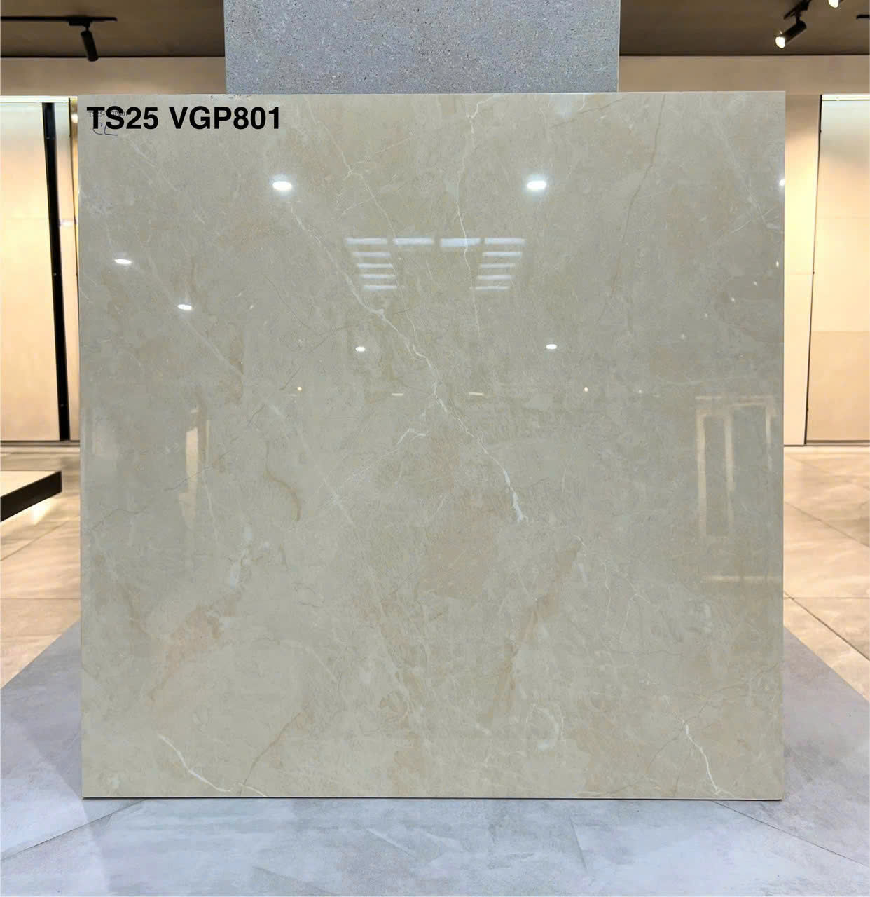 Gạch Viglacera 80×80 TS25-VGP801 - hình 1