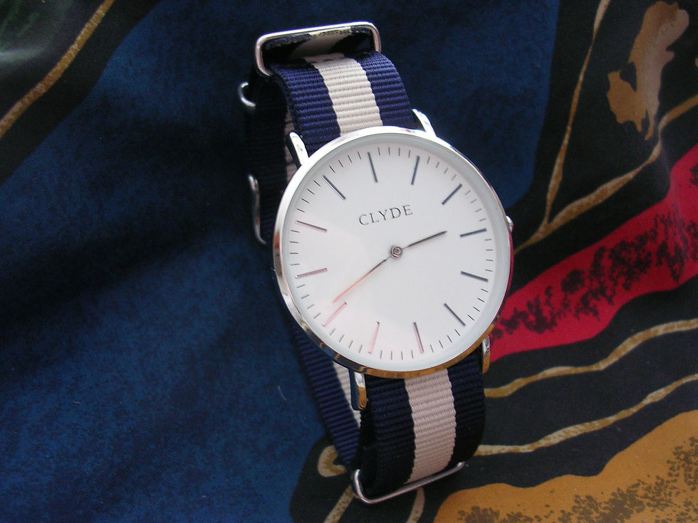 Stainless Steel - Navy Tan Stripe