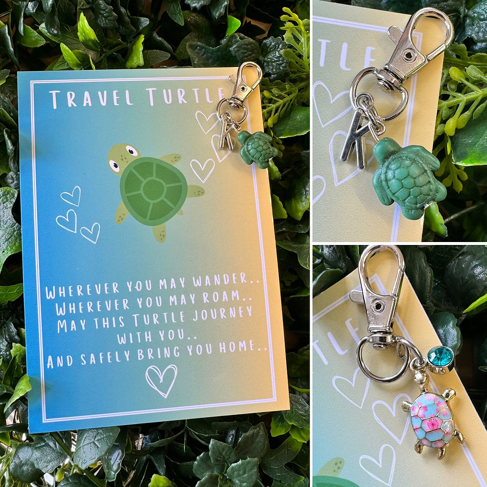 Thumbnail: Travel Turtle
