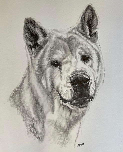 Dog Commission 3.jpeg