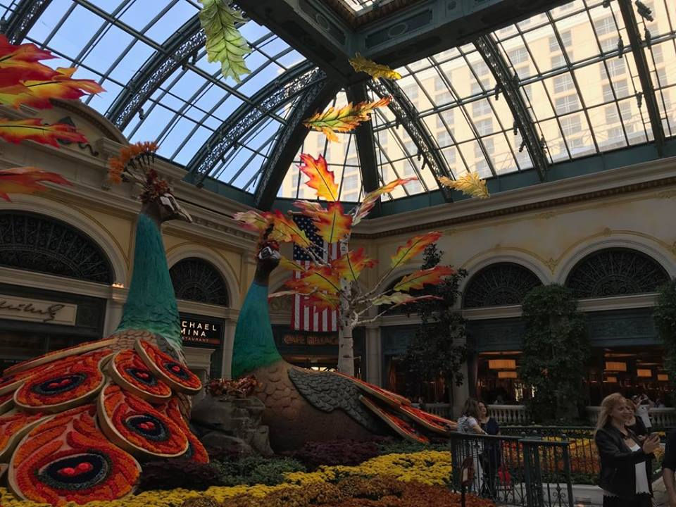 Bellagio - Las Vegas - Zenital