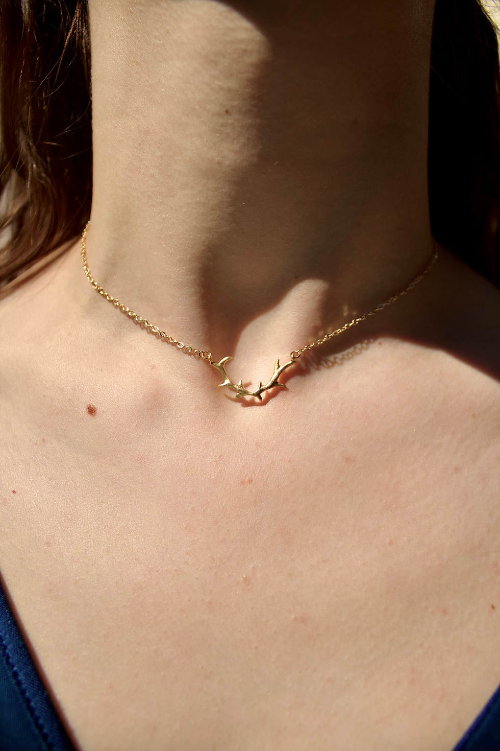 Thumbnail: The Stag Choker