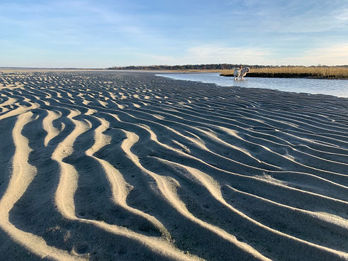 sand (4).jpeg