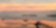 FoPB_Header_edited.jpg