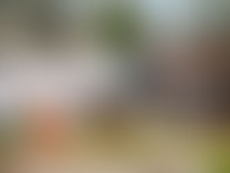 2025 Power of the Purse Photo Gallery