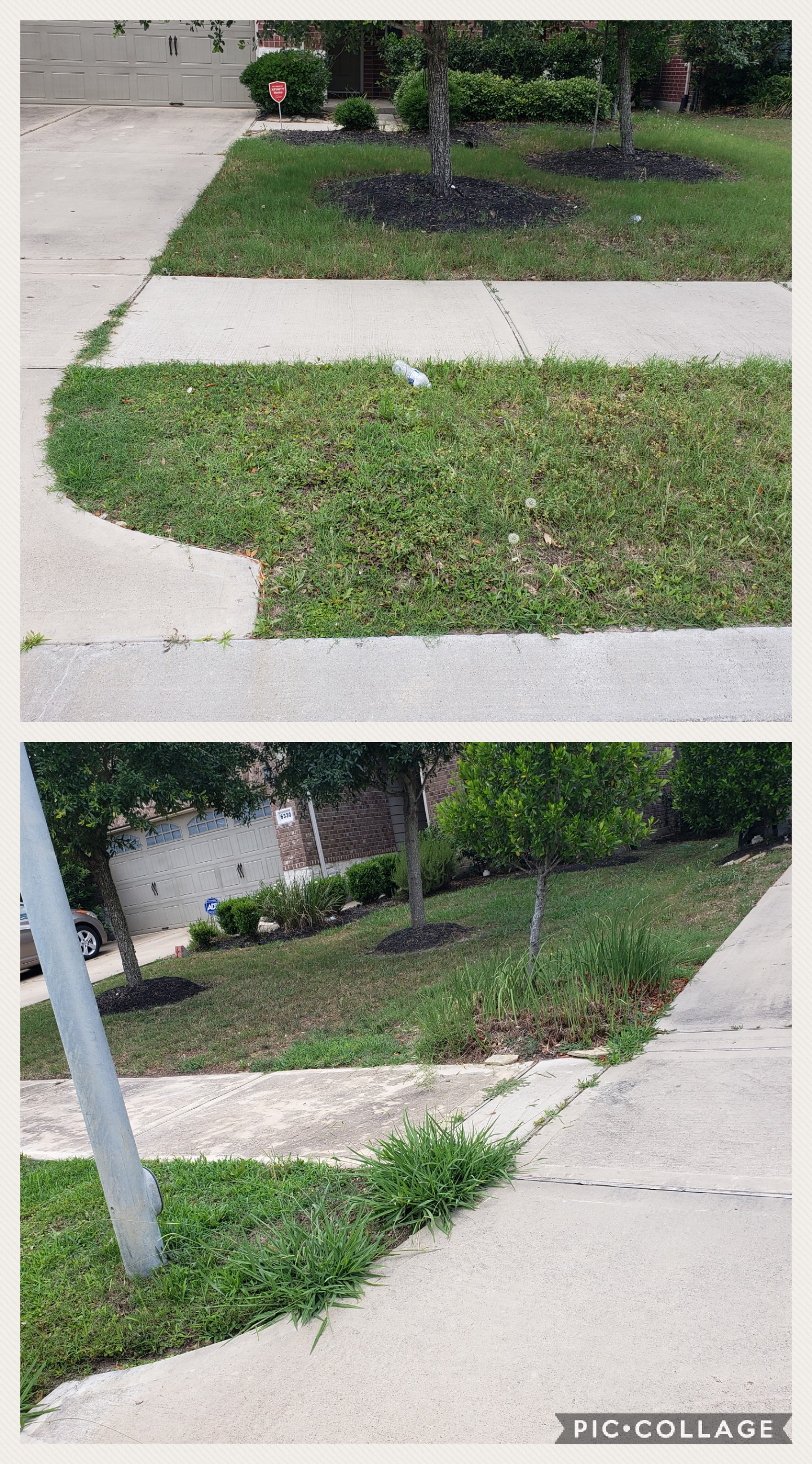 Writer: Philip Mercado