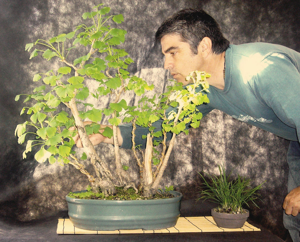 en set de fotos 2010